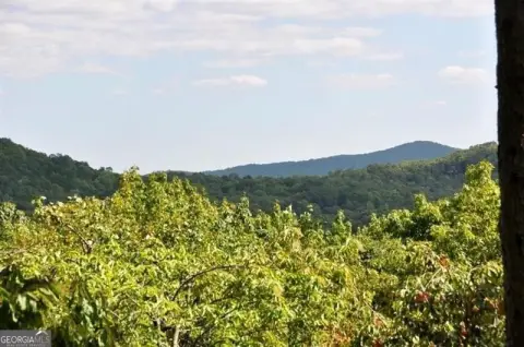 Big Canoe Land For Sale