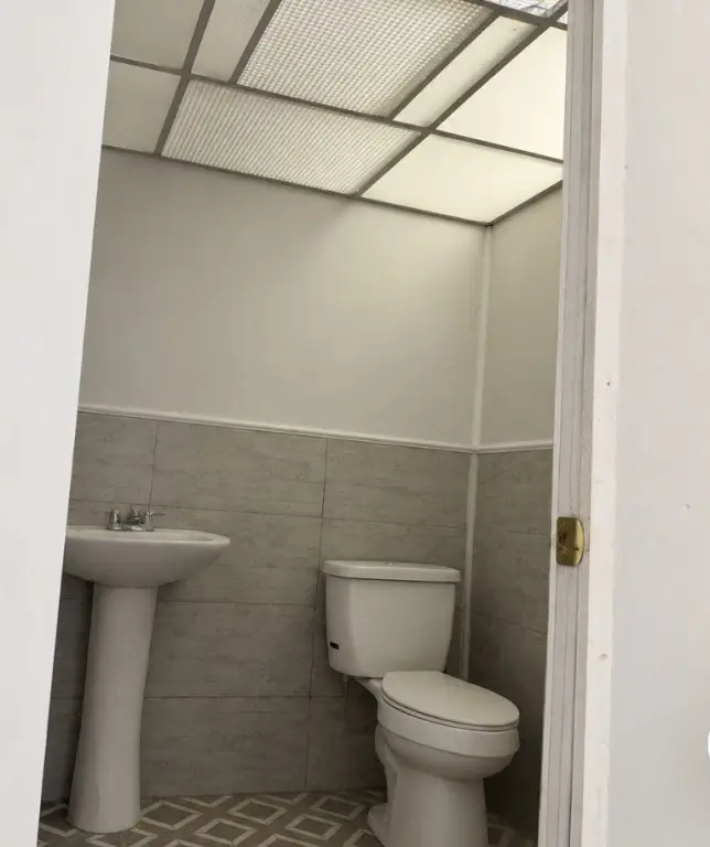 Picture 11