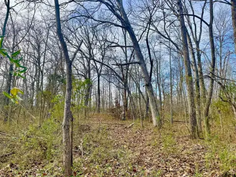 Land For Sale, Lewisburg, KY