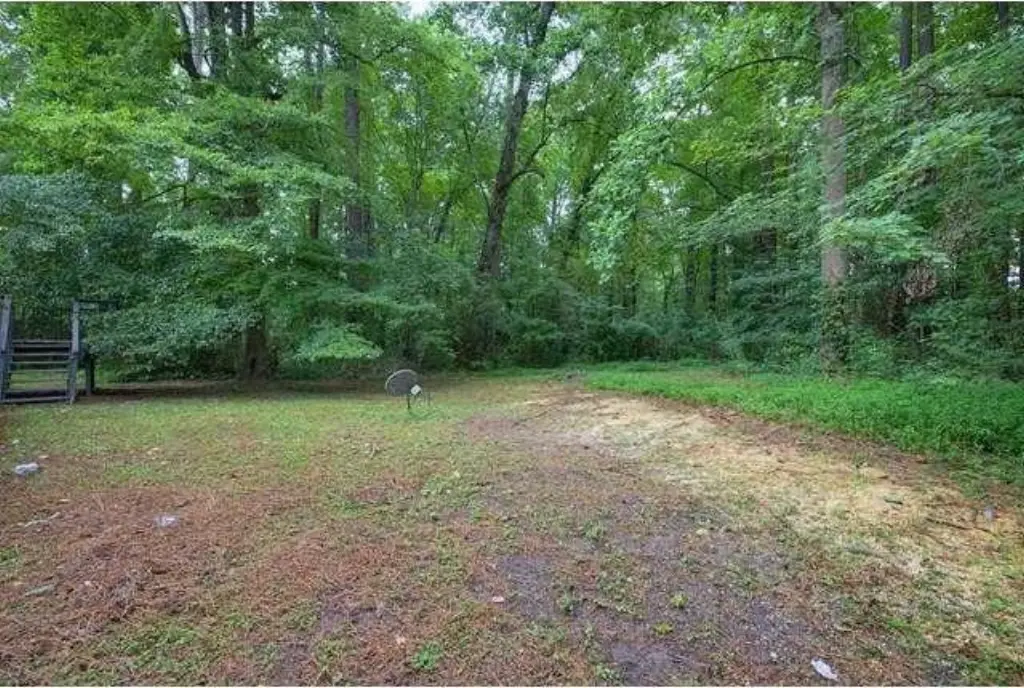 Picture 25