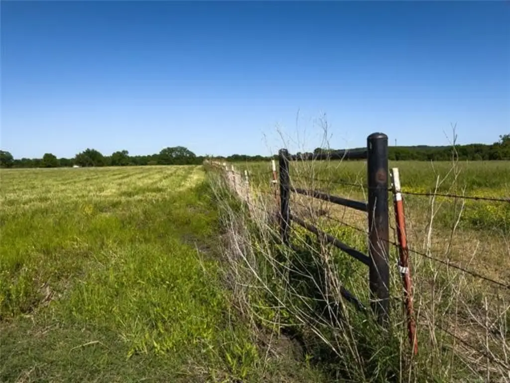 Picture 22