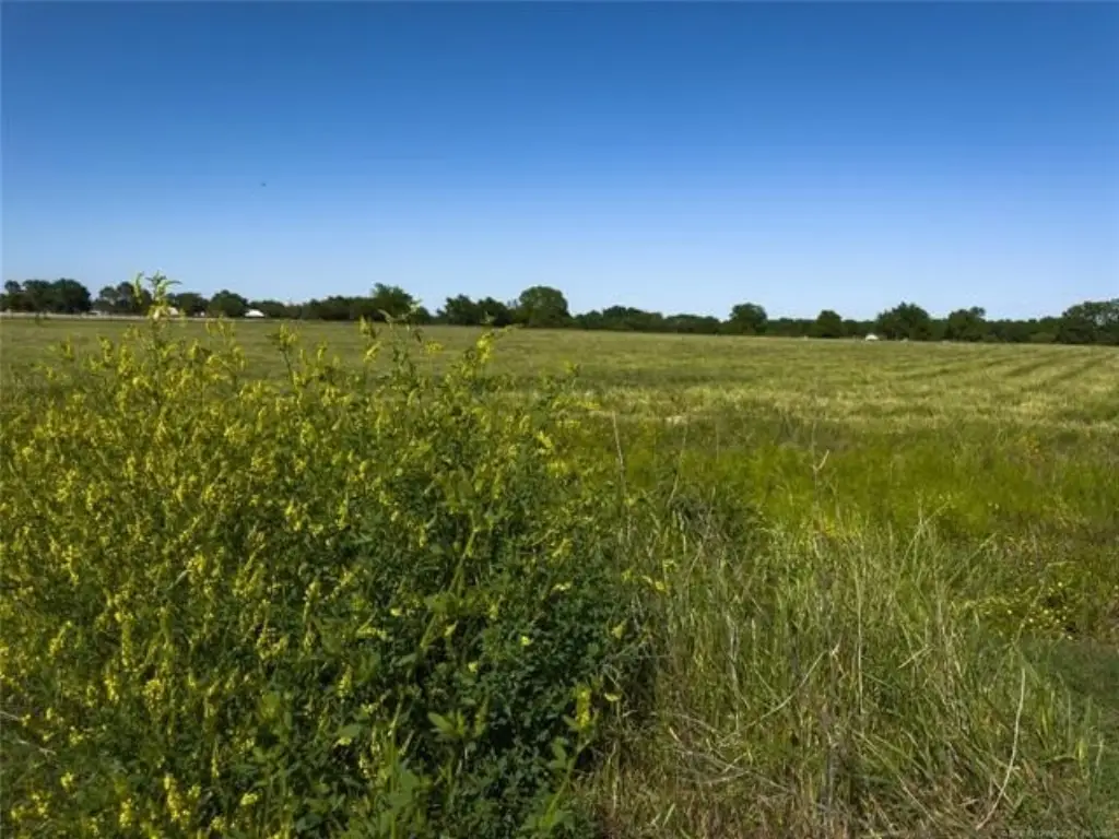 Picture 21