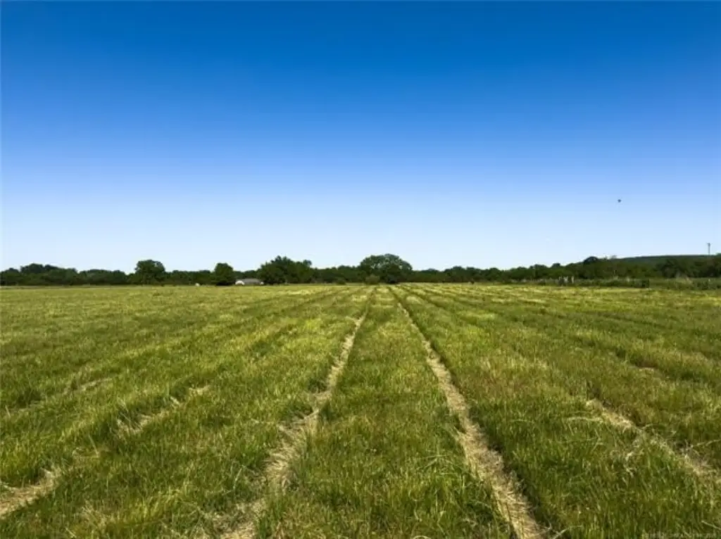 Picture 26