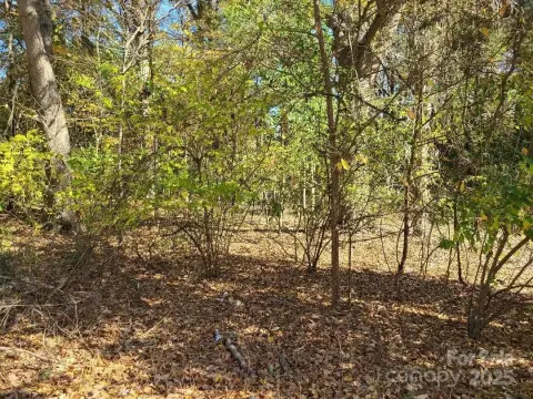 Land For Sale, Belmont, NC