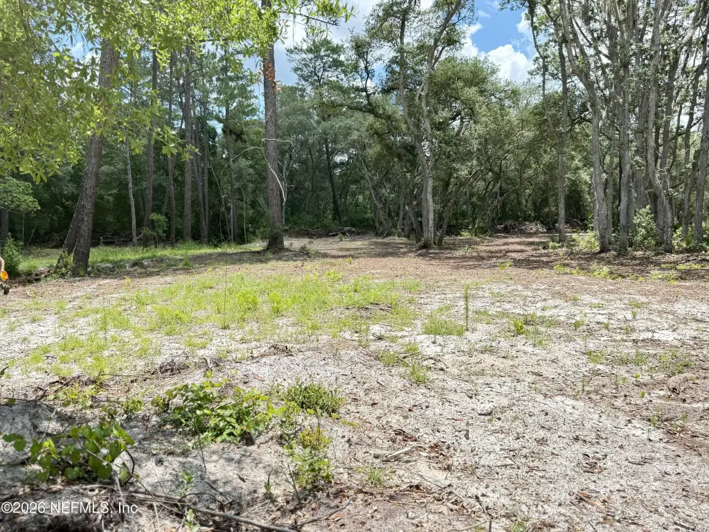 Picture 20