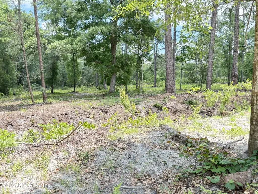 Picture 21
