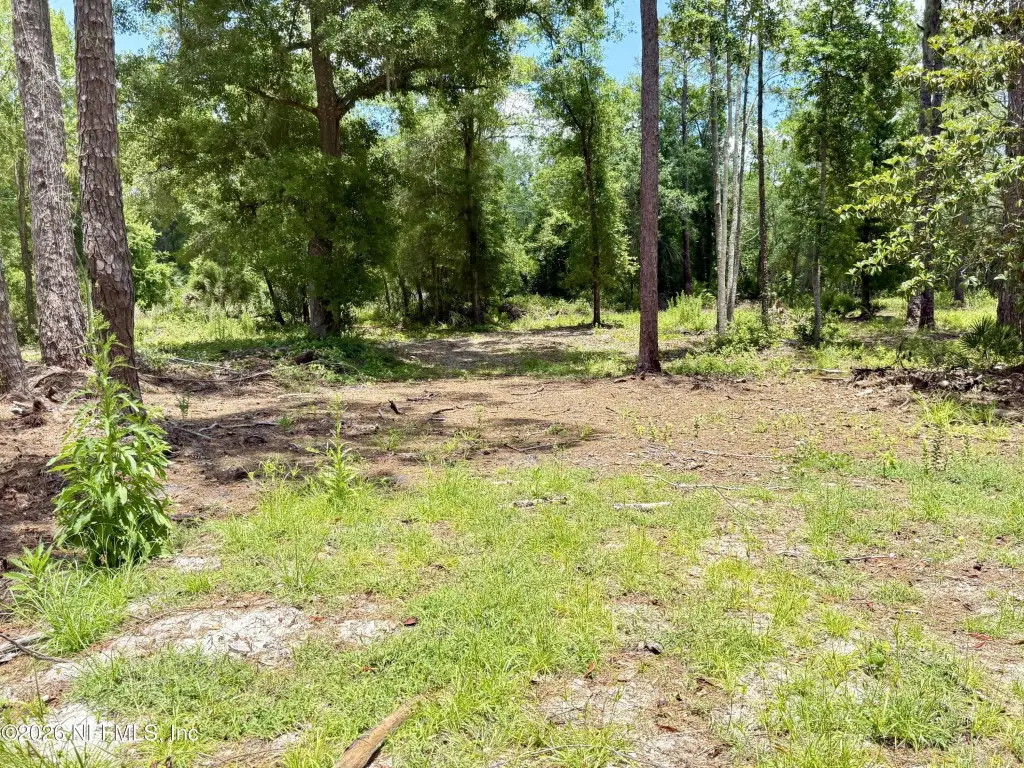 Picture 18