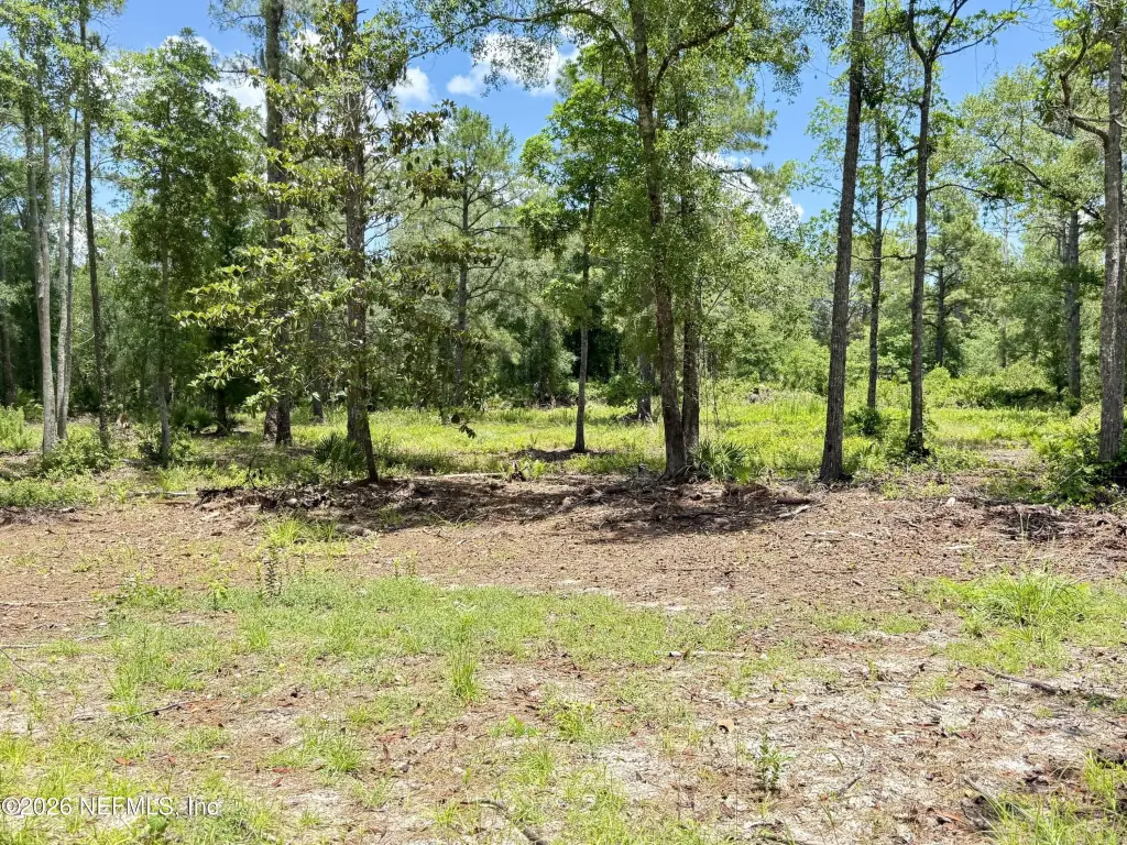 Picture 17