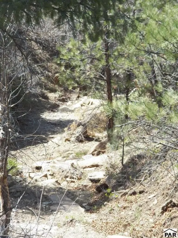 Picture 8