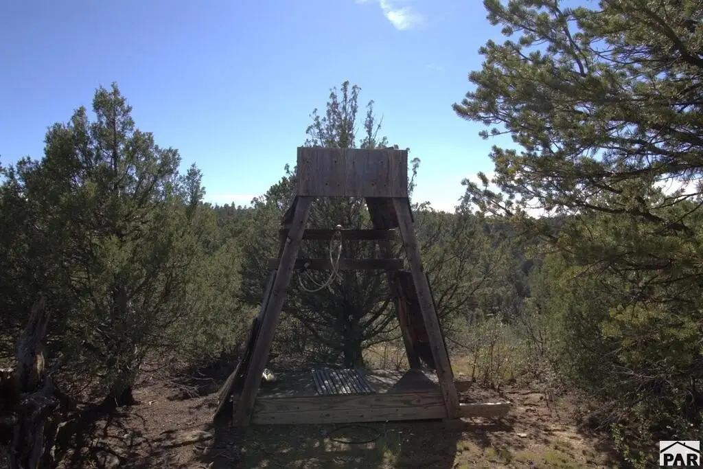 Picture 43