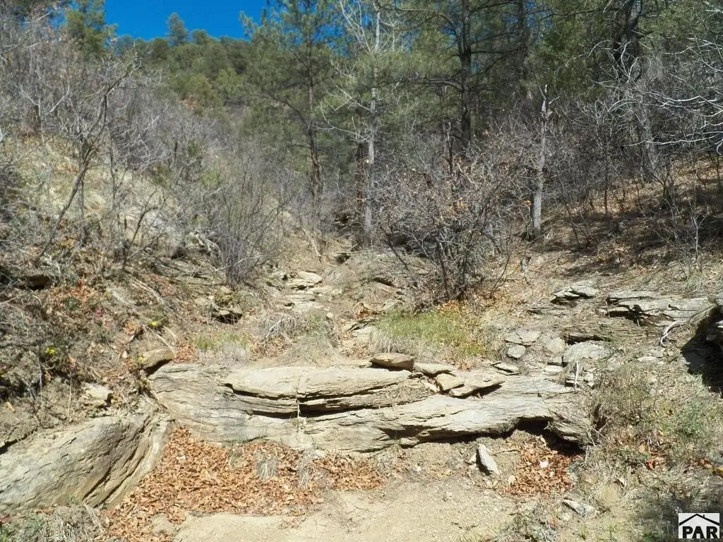 Picture 13