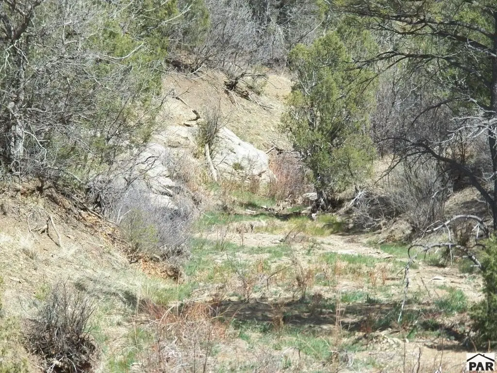 Picture 7
