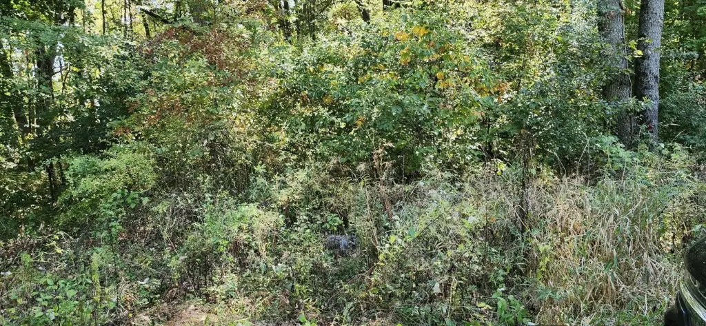 Picture 4