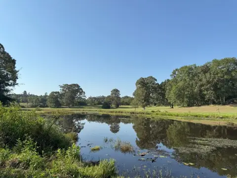 East Texas Retreat Land