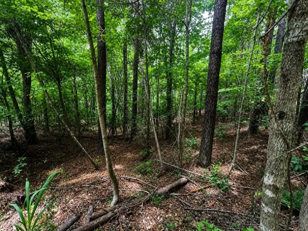Picture 4