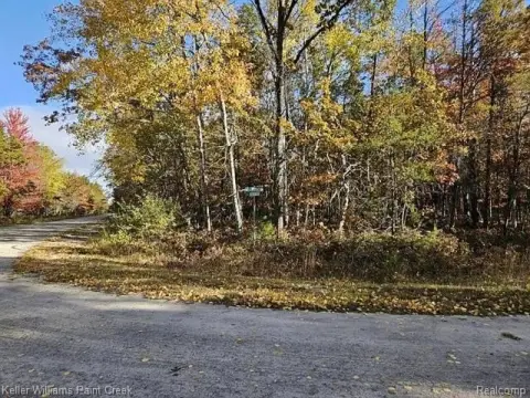 Wooded Lot in Lakewood Shores