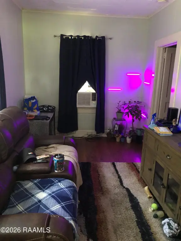 Picture 11