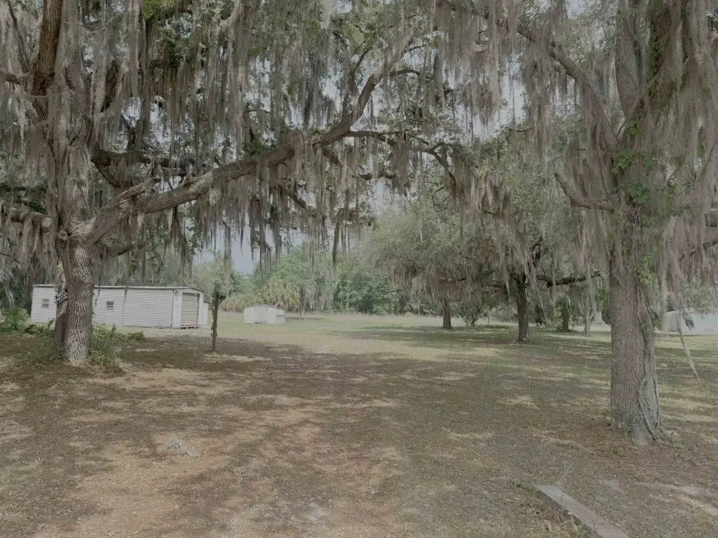 Picture 7