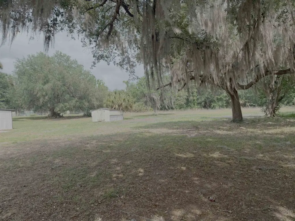 Picture 11
