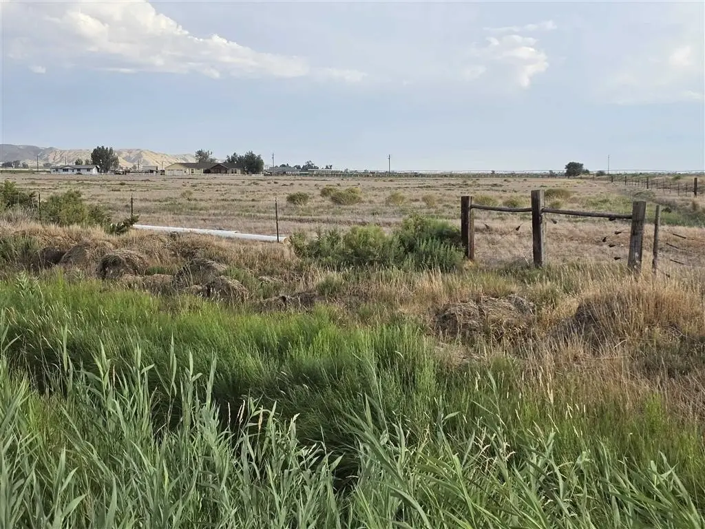 Picture 8