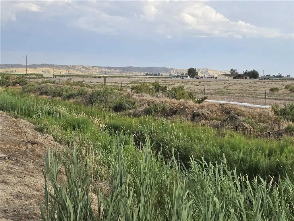 Picture 9