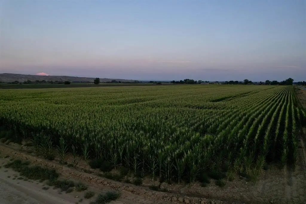 Picture 10