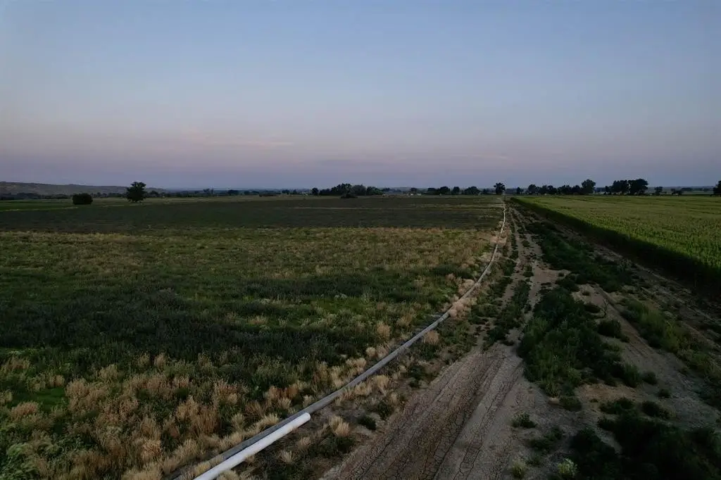 Picture 17