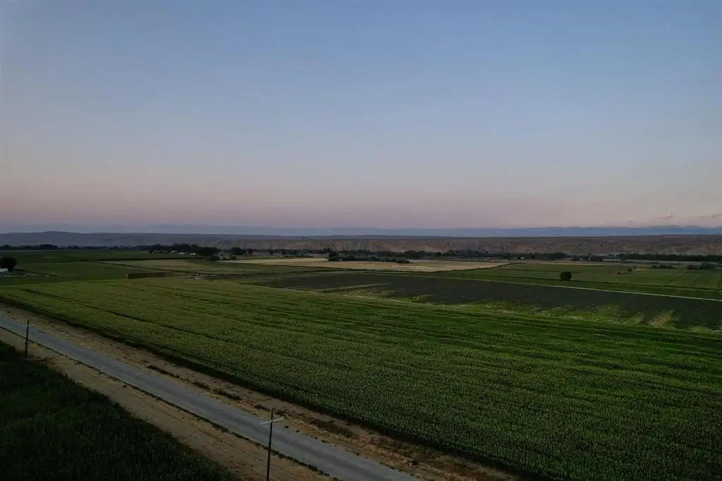 Picture 19
