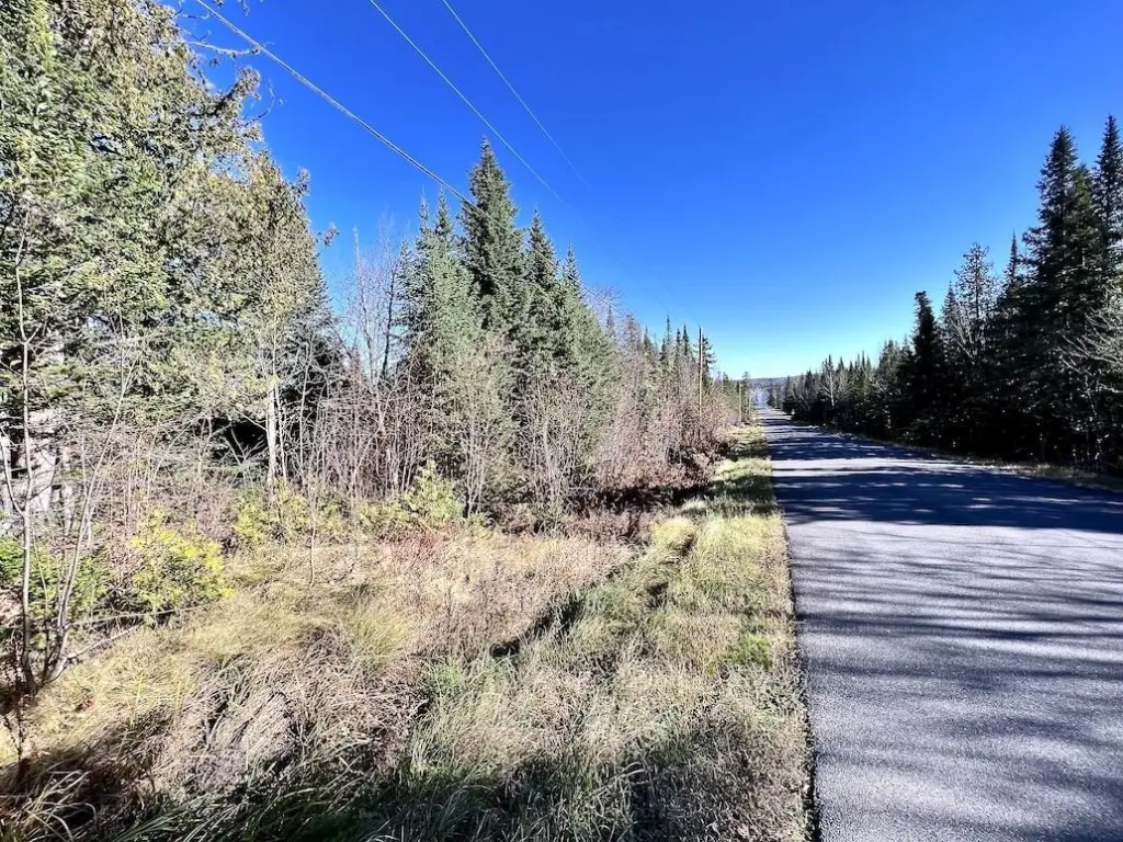Picture 20