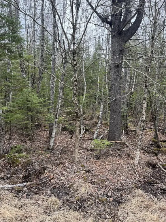 Picture 3