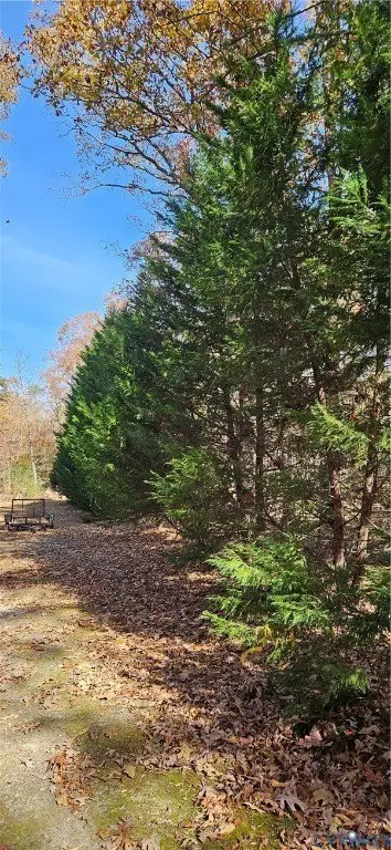 Picture 9