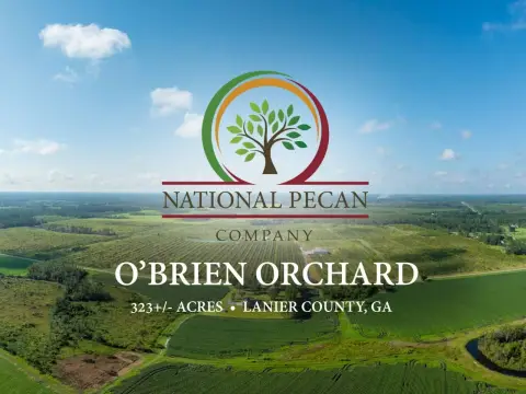 Irrigated Pecan Orchard and Farmland