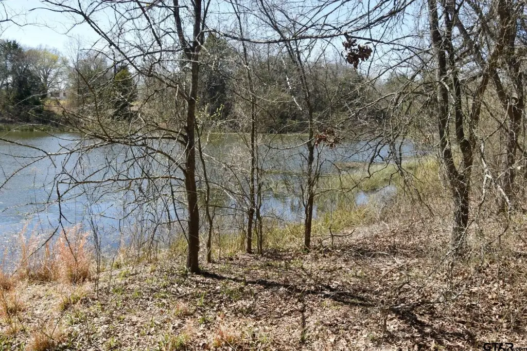 Picture 10