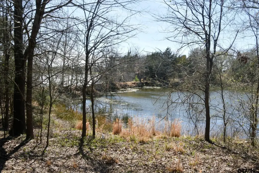 Picture 9