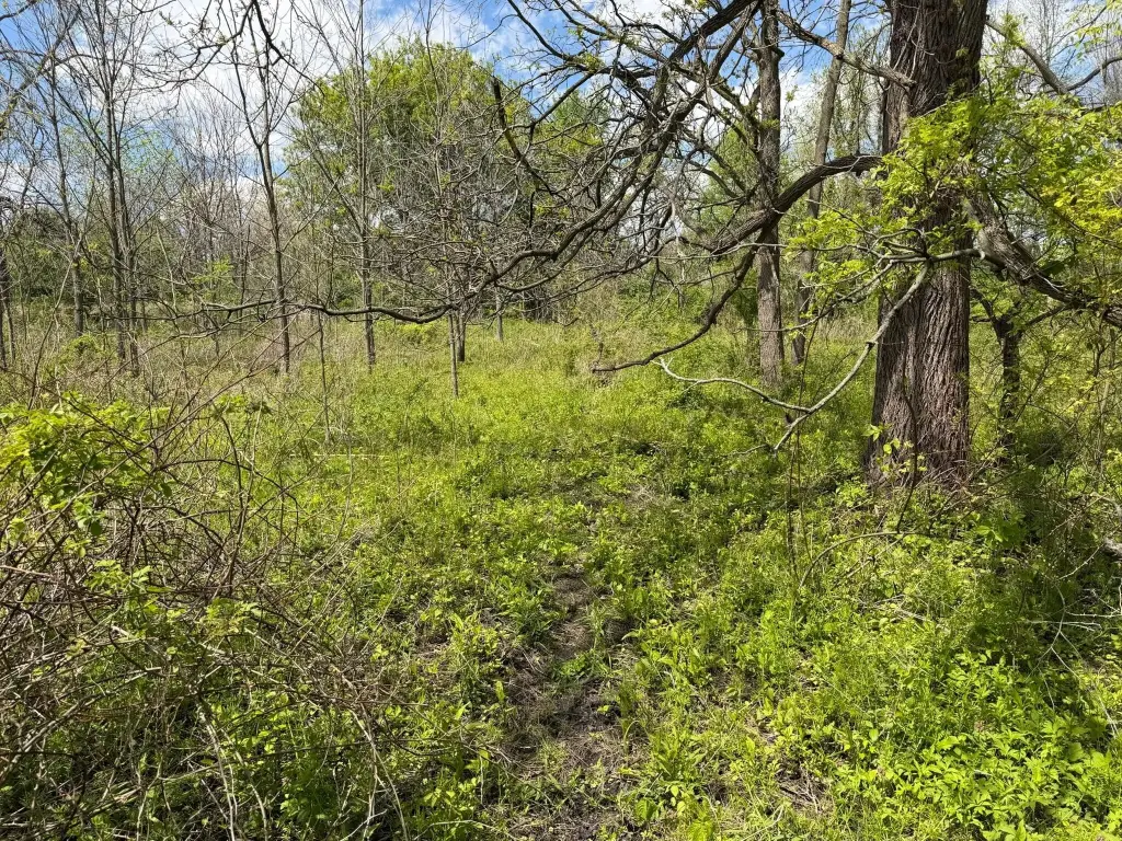 Picture 23