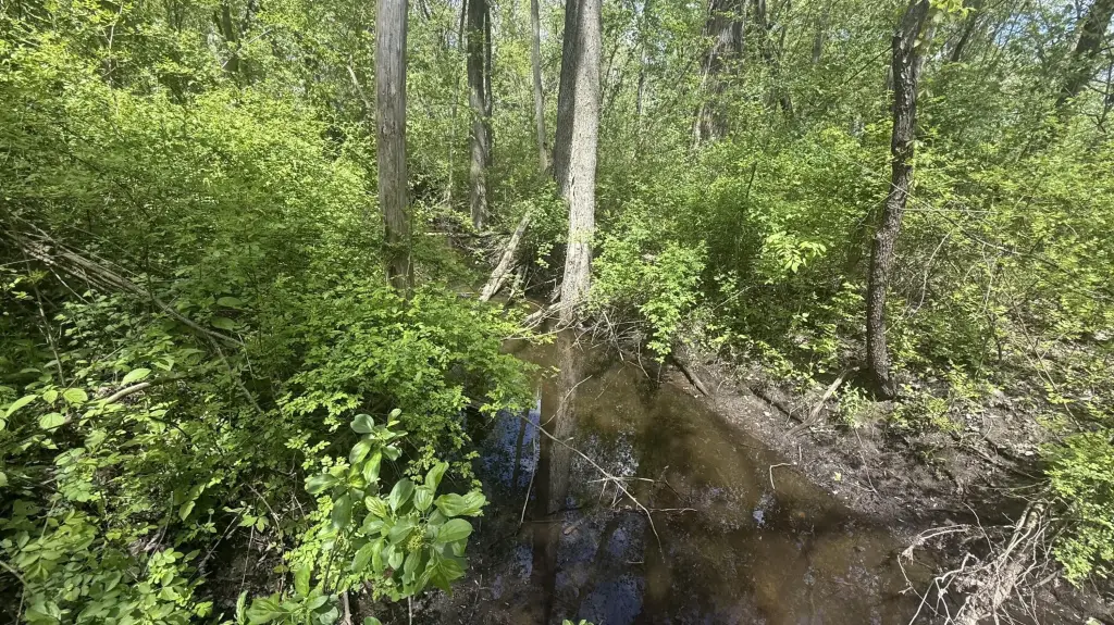 Picture 15