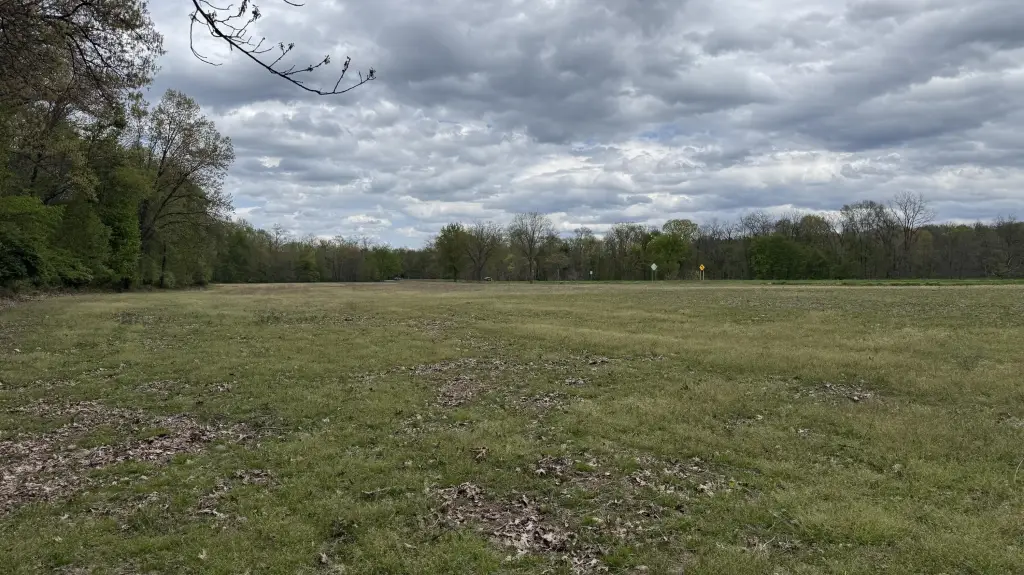 Picture 14