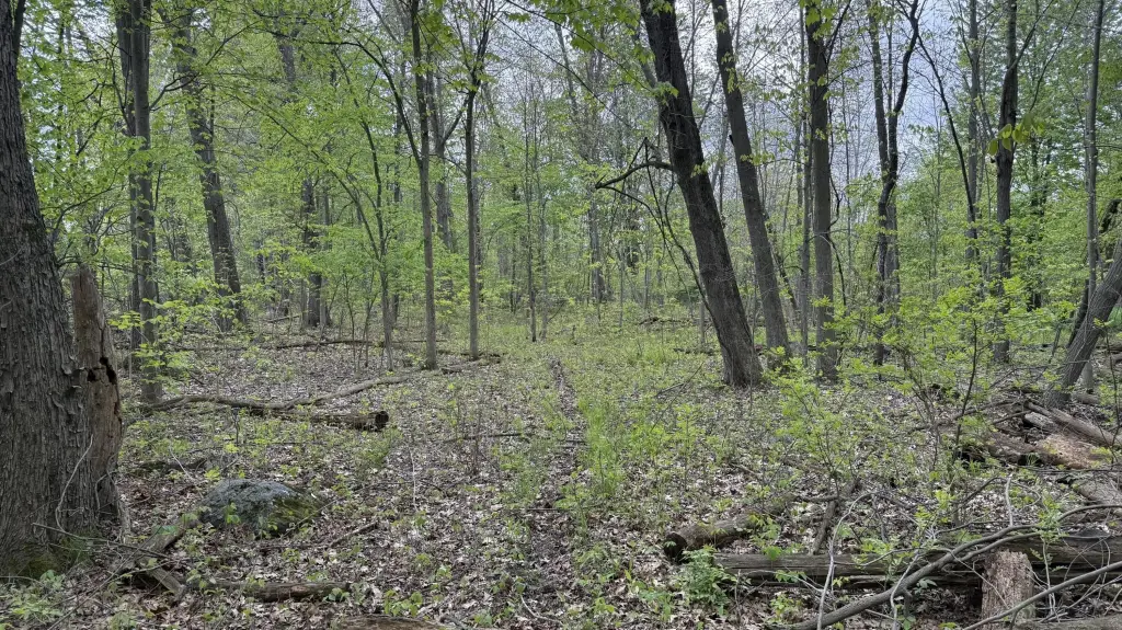 Picture 16