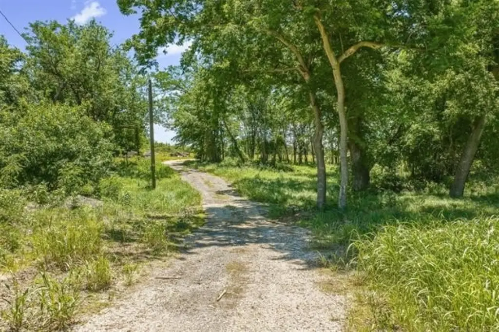 Picture 6