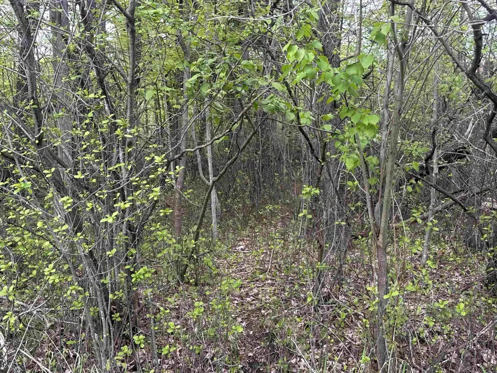 Picture 5