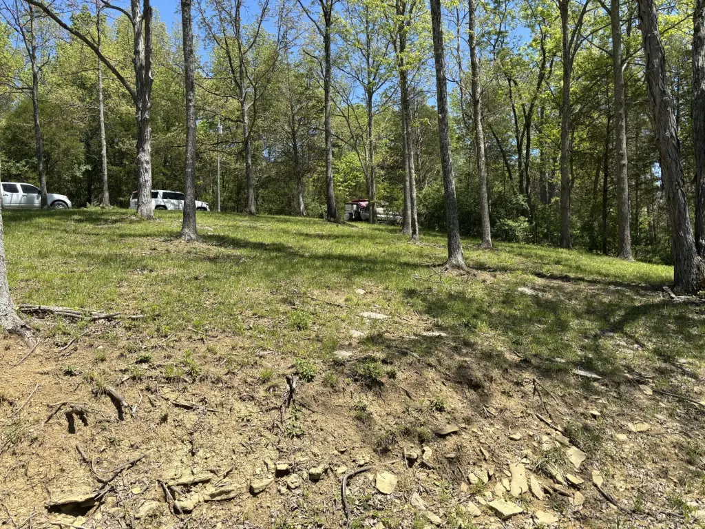 Picture 23