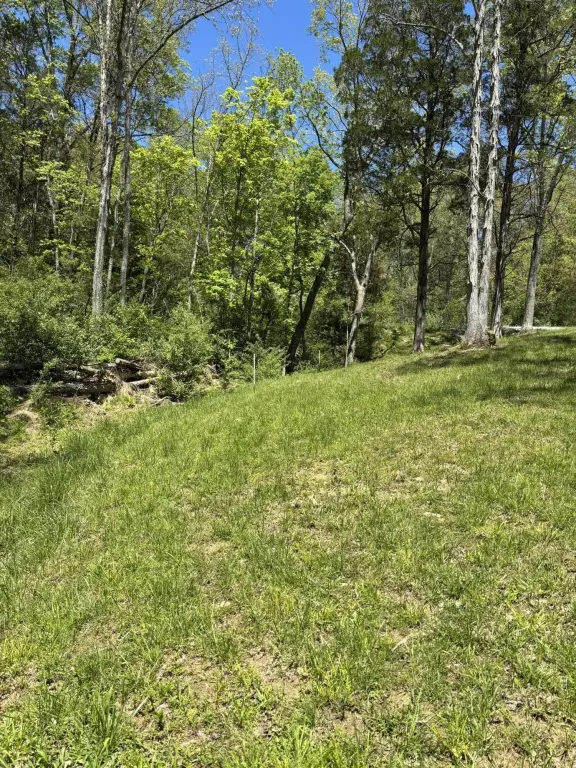 Picture 15