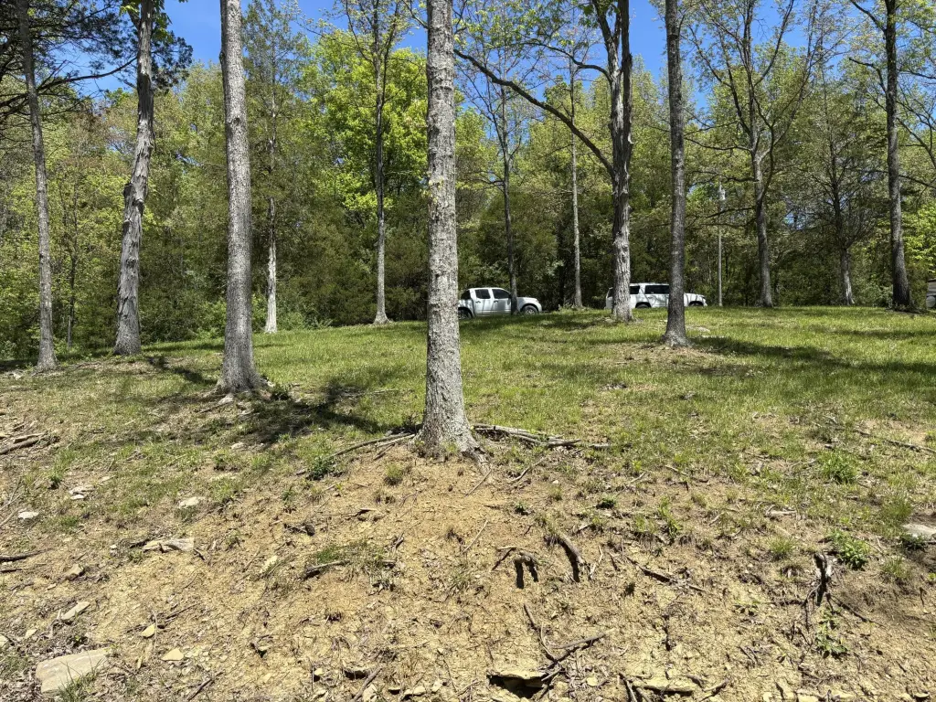 Picture 22