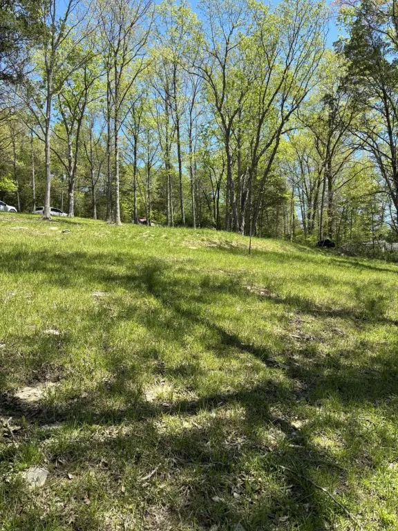 Picture 13