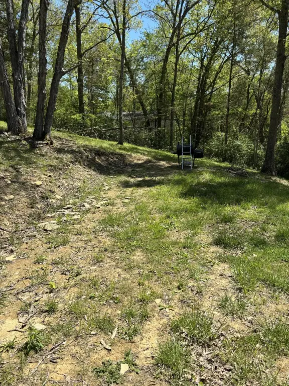 Picture 21