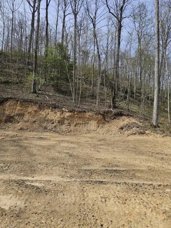 Picture 4