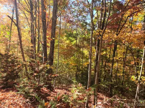 Lake Lure Residential Land