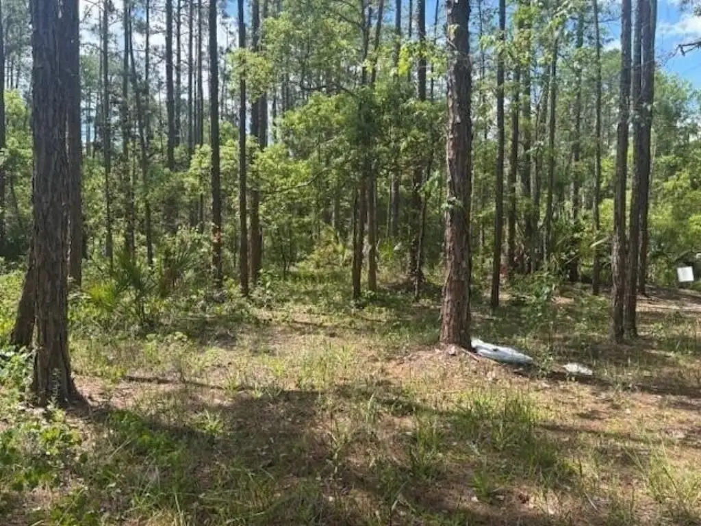 Picture 3