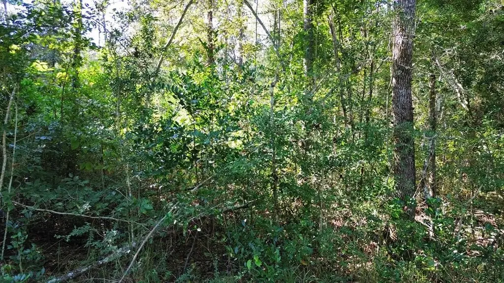 Picture 6