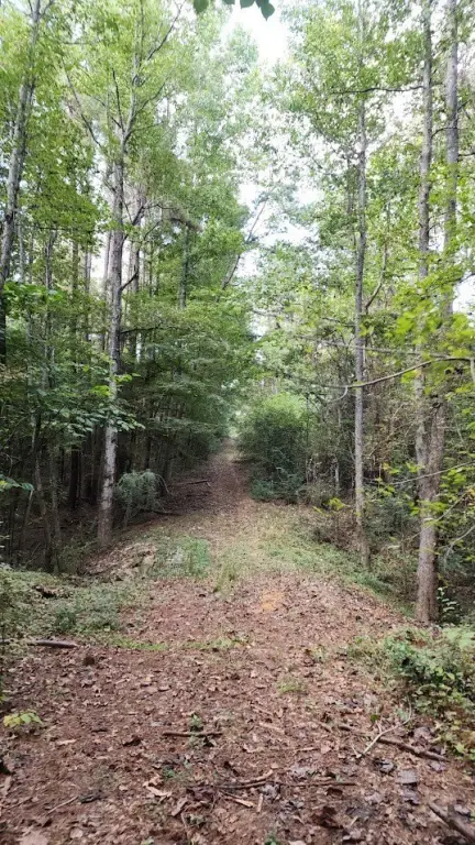 Picture 18